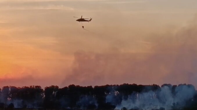 Incendiu de pădure și vegetație. FOTO ISU Delta Tulcea Incendiu de pădure și vegetație. FOTO ISU Delta Tulcea